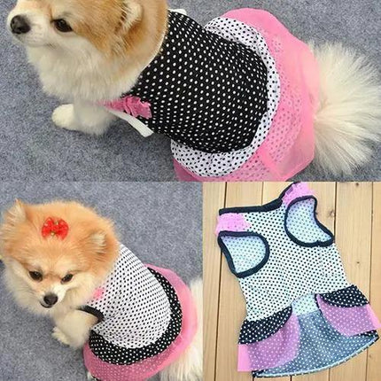 Royal Dotted Yarn Tutu Dress for Pets with Multilayered Charm