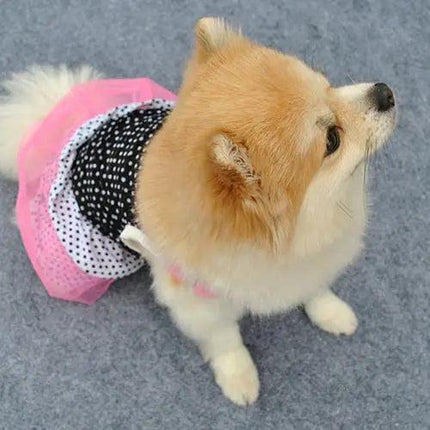 Royal Dotted Yarn Tutu Dress for Pets with Multilayered Charm