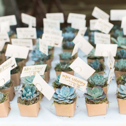 AliKopy 3-Pack Crassula Artificial Succulents in Stylish Ceramic Pots