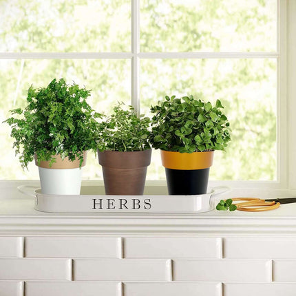 AliKopy 2-Pack Medium White Flower Pots with Gold Rim - 6" Indoor Plan