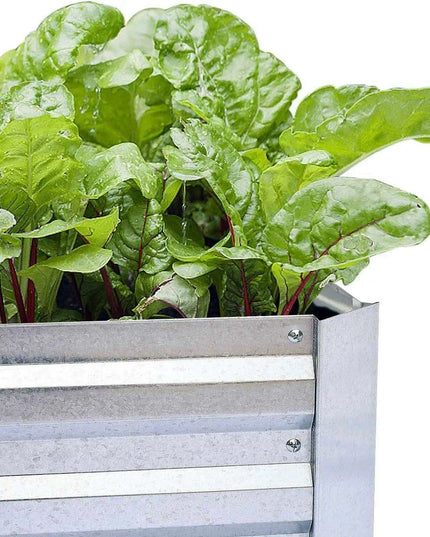 Extra-Large Galvanized Metal Raised Garden Bed with Advanced Drainage Features