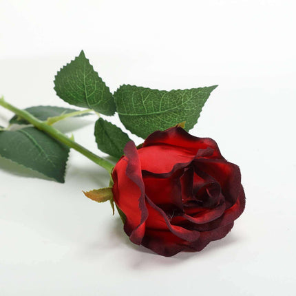 AliKopy 31" Long Stem Artificial Silk Roses, 24 Pcs, Red & Black Tips
