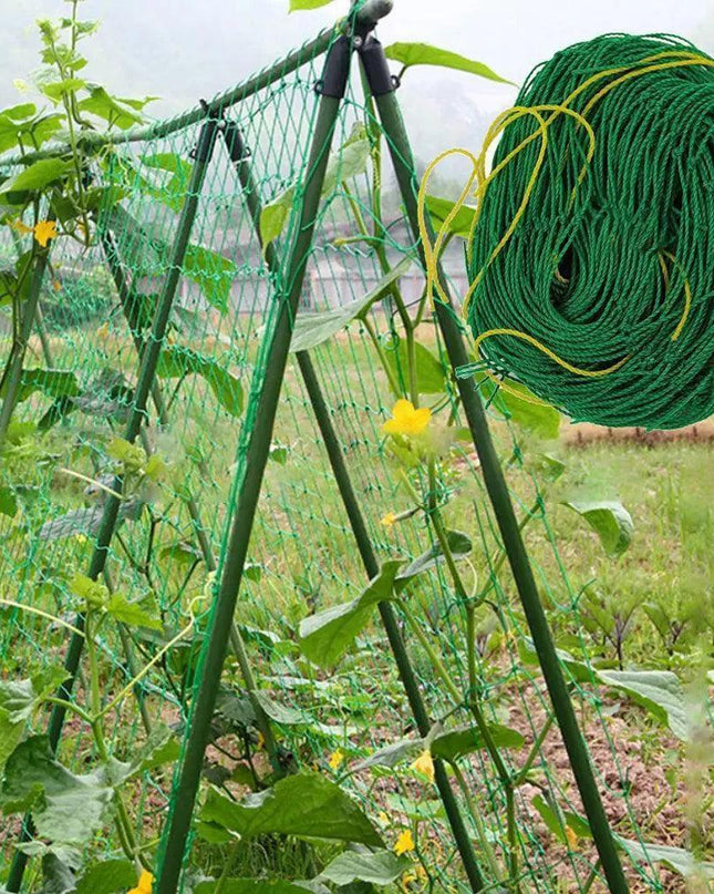Nylon Garden Climbing Net: Support for Vegetables and Vines to Boost Growth