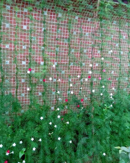 Nylon Garden Climbing Net: Support for Vegetables and Vines to Boost Growth