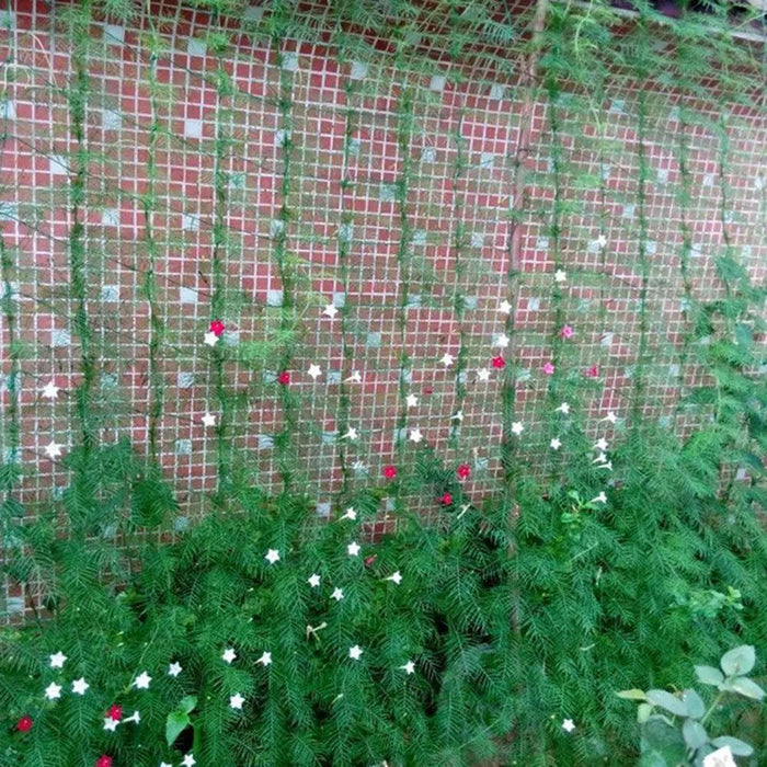 Garden Nylon Netting Trellis Net Vegetables Bean Plants Climbing Grow Supporting - Très Elite