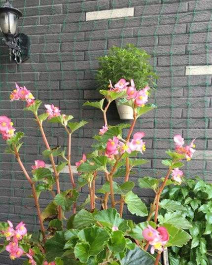 Nylon Garden Climbing Net: Support for Vegetables and Vines to Boost Growth