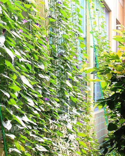 Nylon Garden Climbing Net: Support for Vegetables and Vines to Boost Growth