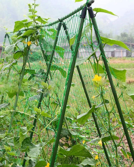 Nylon Garden Climbing Net: Support for Vegetables and Vines to Boost Growth