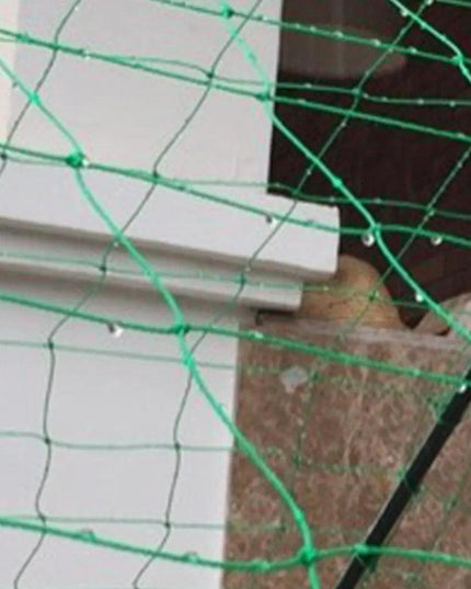 Nylon Garden Climbing Net: Support for Vegetables and Vines to Boost Growth