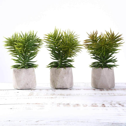 AliKopy 3-Pack Crassula Artificial Succulents in Stylish Ceramic Pots