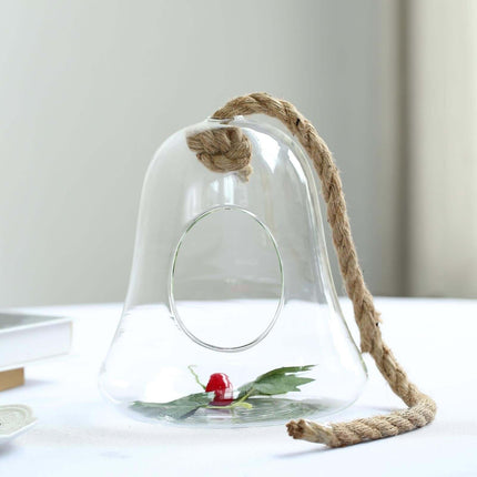 AliKopy Glass Terrarium - 9" Hanging Bell Design for Air Plants