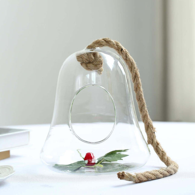 AliKopy Glass Terrarium - 9" Hanging Bell Design for Air Plants