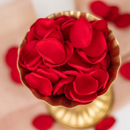 AliKopy 400-Pack Red Matte Silk Rose Petals - Life-Like Flower Confett