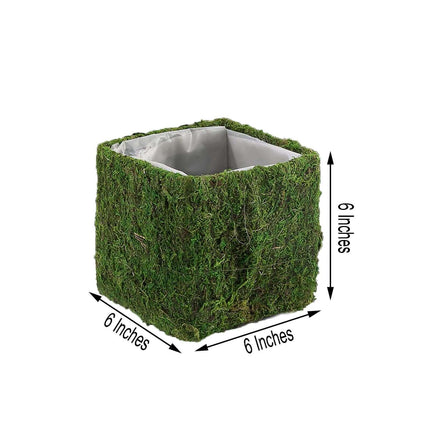 AliKopy 4-Pack 6" Square Planter Boxes with Green Preserved Moss Linin