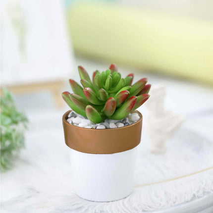 AliKopy 3-Pack Small White Flower Pots with Gold Rim - Decorative 3" P