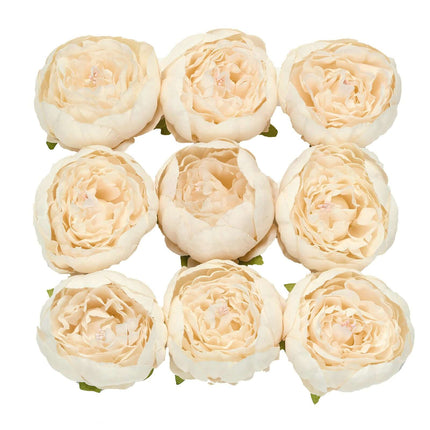 AliKopy 10-Pack Beige Artificial Peony Flower Heads - 3" Faux Florals