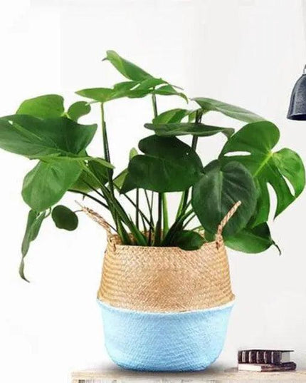 Sustainable Elegance: Handcrafted Bamboo Fiber Storage Baskets