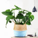 Sustainable Elegance: Handcrafted Bamboo Fiber Storage Baskets