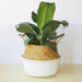 Sustainable Elegance: Handcrafted Bamboo Fiber Storage Baskets