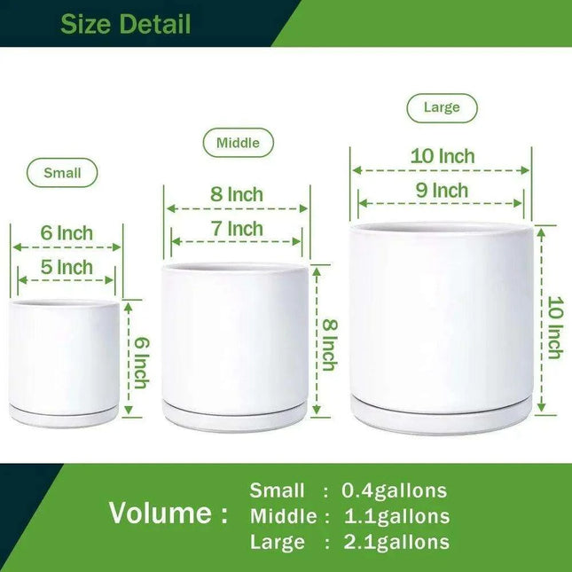 Set of 3 Elegant Glazed Bonsai Planters for Enhanced Greenery Display