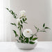 Ikebana Floral Arrangement Set: 2 Flower Frog Holder Pins for Stunning Displays