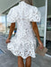 Elegant Lace Shift Dress with Intricate Panel Detailing