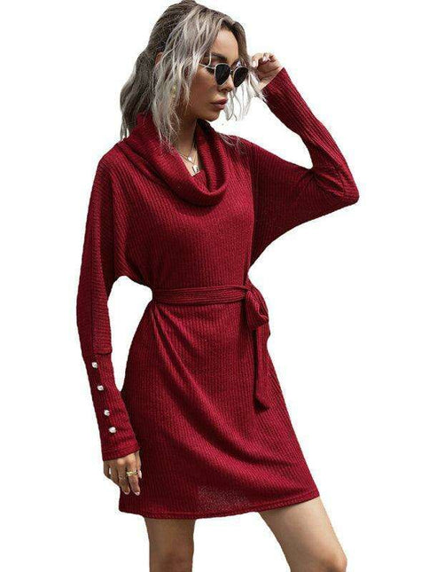 Sophisticated Collar Detail Ribbed Knit Dress with Long Sleeves