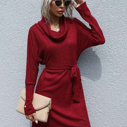 Sophisticated Collar Detail Ribbed Knit Dress with Long Sleeves