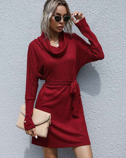 Sophisticated Collar Detail Ribbed Knit Dress with Long Sleeves