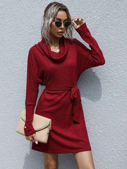 Sophisticated Collar Detail Ribbed Knit Dress with Long Sleeves