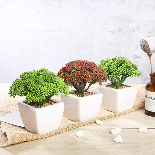 AliKopy 3-Pack Joy Sedum Faux Succulents in Ceramic Pots - Lifelike De
