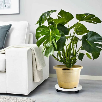 AliKopy 14" Gold Shiny Large Barrel Planter Pot - Indoor/Outdoor Decor