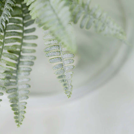 AliKopy 2 Stems Frosted Green Boston Fern - Lifelike Indoor Decor