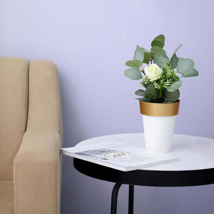 AliKopy 2-Pack Medium White Flower Pots with Gold Rim - 6" Indoor Plan