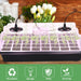 Thriving Plant Growth LED Grow Light Kit for Indoor Gardening