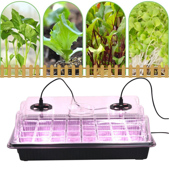 LED Grow Light Kit for Indoor Gardening Success