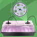 Indoor Gardening LED Grow Light Set for Thriving Plants