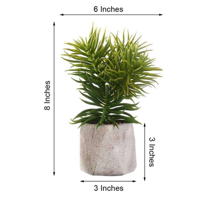 AliKopy 3-Pack Crassula Artificial Succulents in Stylish Ceramic Pots