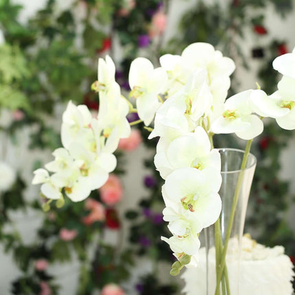 AliKopy 40" Tall Cream Artificial Silk Orchid Flower Bouquets - 2 Stem