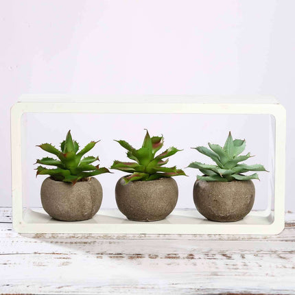 AliKopy 3-Pack Aloe Artificial Succulents in Ceramic Pots - Lifelike D
