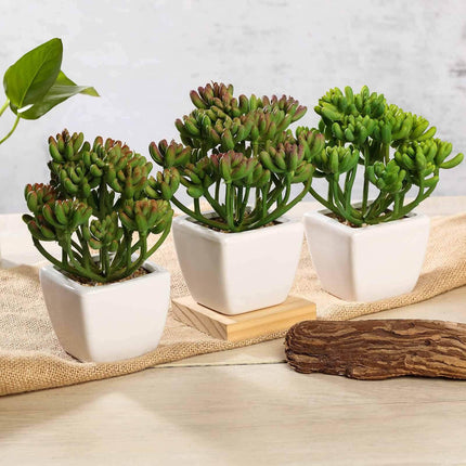 AliKopy 3-Pack Stonecrop Artificial Succulents - Lifelike Decor, 7