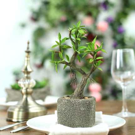 AliKopy Willow Tree Faux Succulents in Concrete Pot - 9" Lifelike Deco