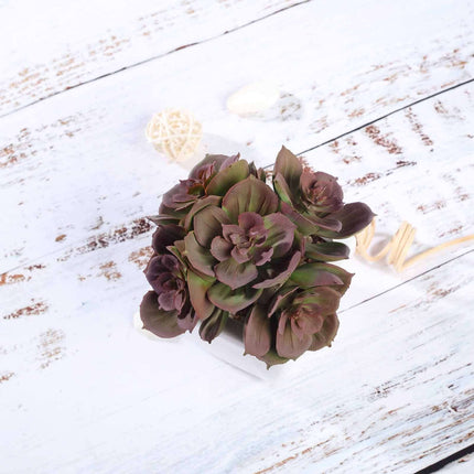 AliKopy 3-Pack Echeveria Elegans Faux Succulents in Ceramic Pots - Lif