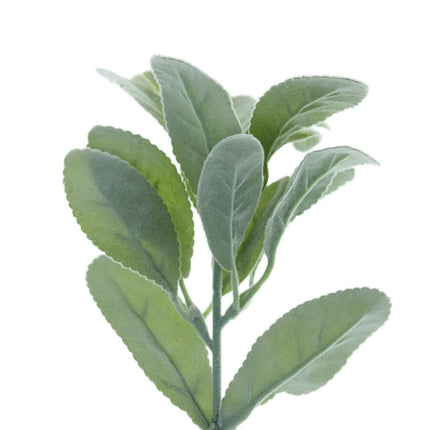 AliKopy 4 Stems Frosted Green Artificial Lambs Ear Plant - Realistic F