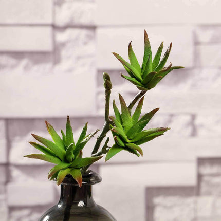 AliKopy 3 Pack 13" Assorted Artificial Yucca & Aloe Vera Succulents -
