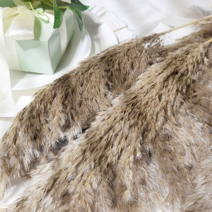 AliKopy 6 Stems Natural Dried Pampas Grass - 32" Boho Chic Decor