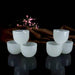 Elevate Your Tea Time: Experience the Healing Power of Jade with this Complete Kung Fu Tea Set