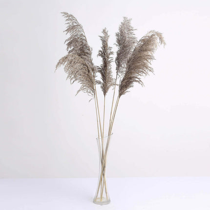 AliKopy 6 Stems Natural Dried Pampas Grass - 32" Boho Chic Decor