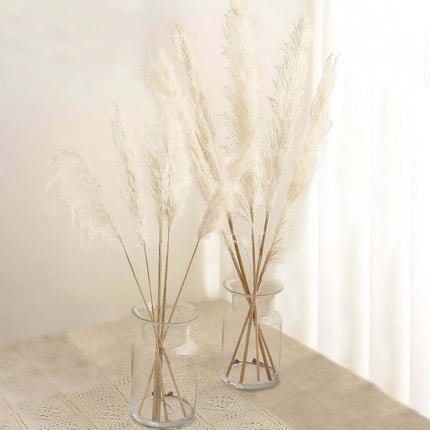 AliKopy 6 Stems Dried Pampas Grass - Off White, 32" for Boho Decor