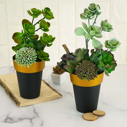 AliKopy 2-Pack Medium Black Flower Pots with Gold Rim - 6" Indoor Plan